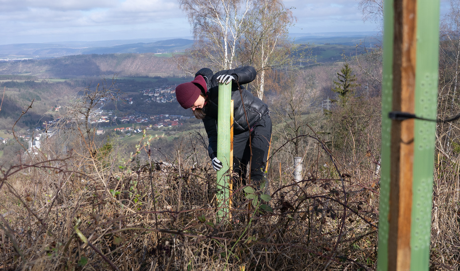 Auf dem Bild pflanzt Susanna einen Baum, im Hintergrund ist die Thüringer Landschaft zu sehen