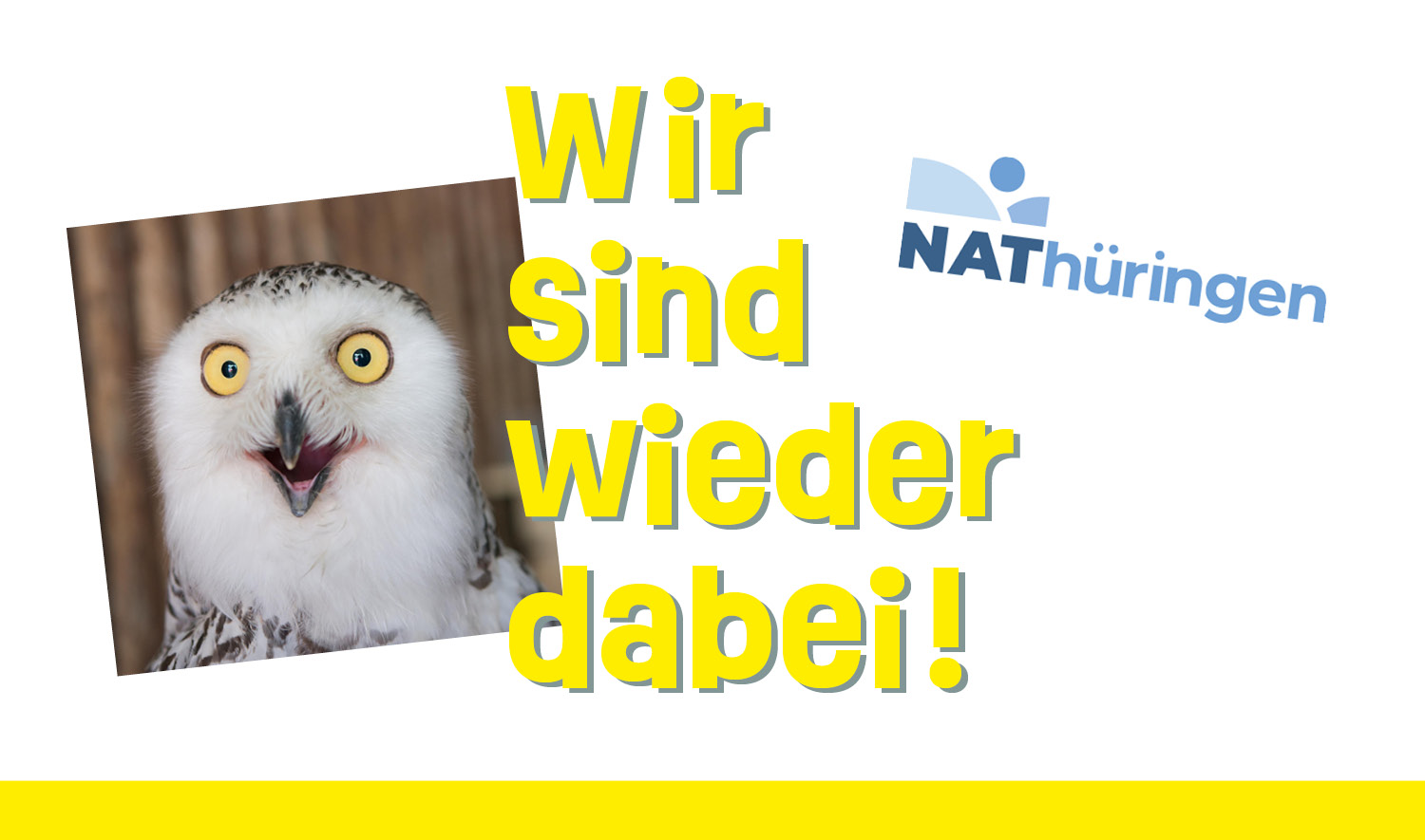 Eine erstaunte Eule, daneben der Schriftzug "Wir sind wieder dabei!"